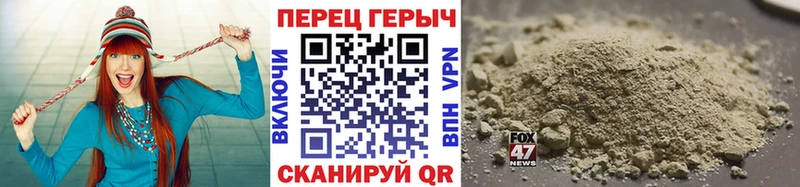ГЕРОИН хмурый  Сосновый Бор 