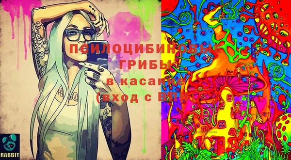 первитин Алексеевка