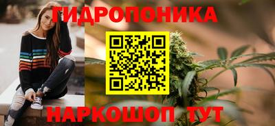 ПСИЛОЦИБИНОВЫЕ ГРИБЫ Заводоуковск