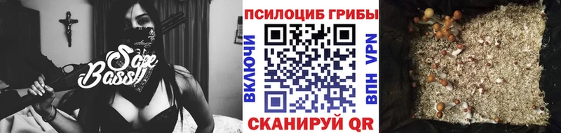 Галлюциногенные грибы мицелий Сосновый Бор